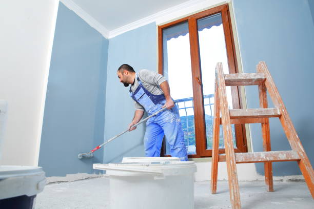 Best Basement Mold Removal  in Prestbury, IL