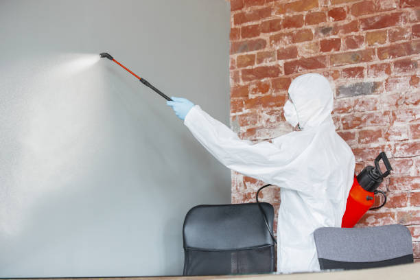 Best Residential Mold Inspection & Testing  in Prestbury, IL