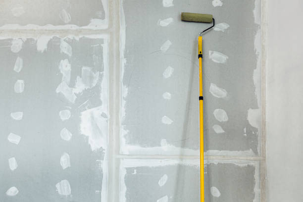 Best Mold Prevention Services  in Prestbury, IL