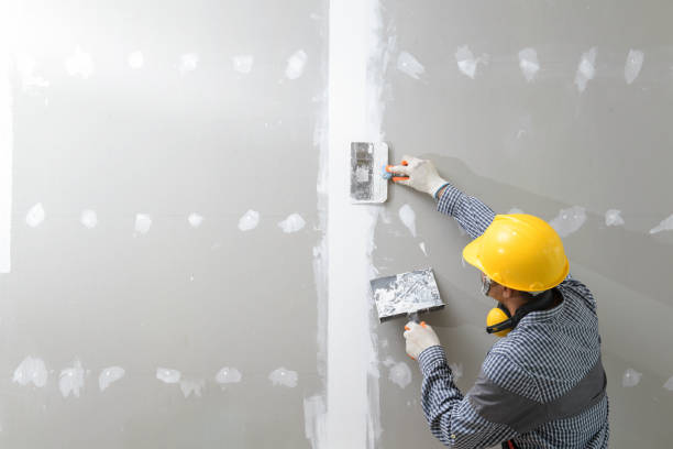 Best Industrial Mold Remediation  in Prestbury, IL