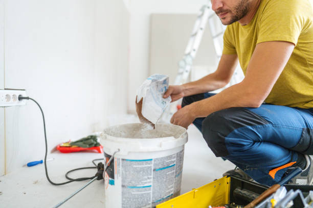 Best Emergency Mold Remediation  in Prestbury, IL