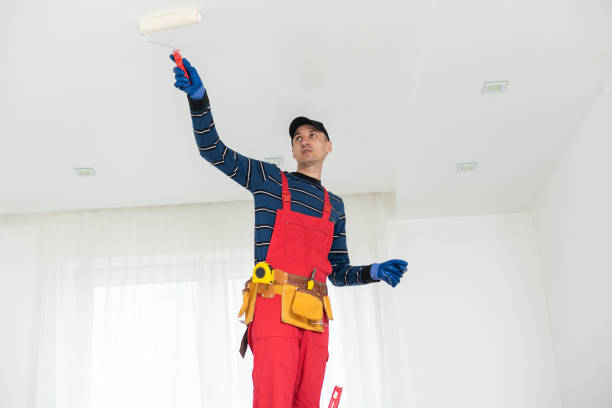 Prestbury, IL Mold Removal Company